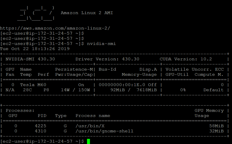 How to run NICE DCV on AWS EC2 using an AMI | Windows & Linux